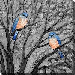 Two Bluebirds